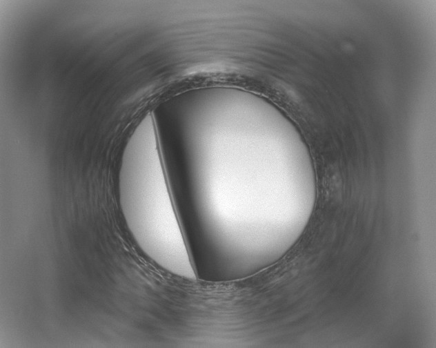 X0000065241062200602170948