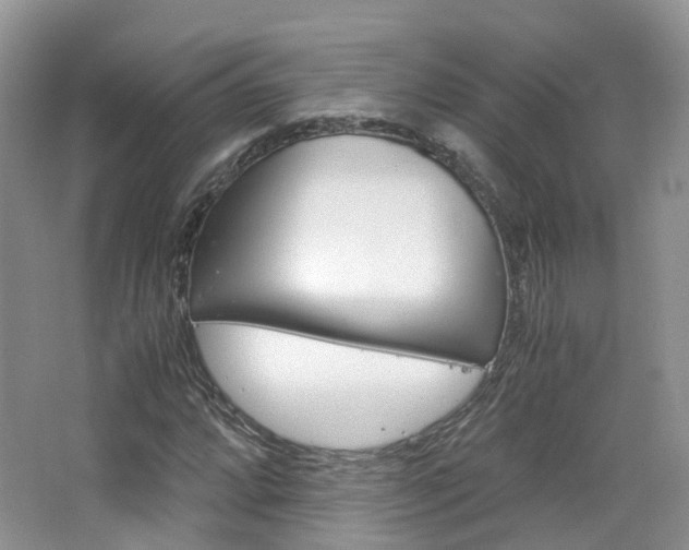X0000065241064200602170948