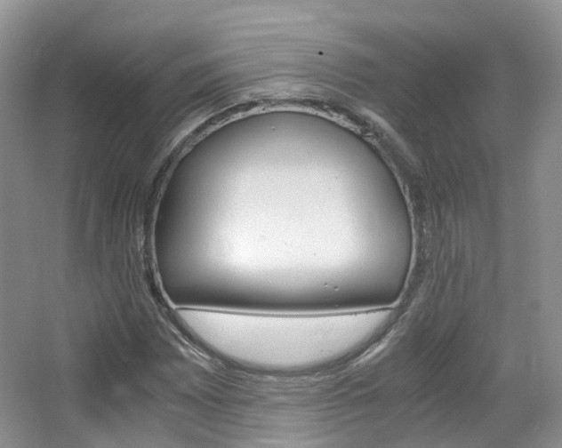 X0000065241065200602170948