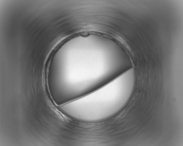X0000065241076200602170948