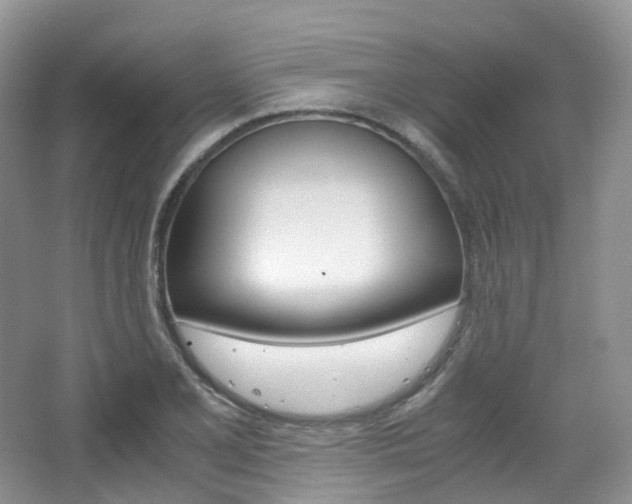 X0000065241077200602170948