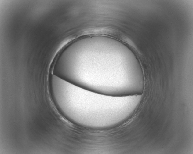 X0000065241079200602170948
