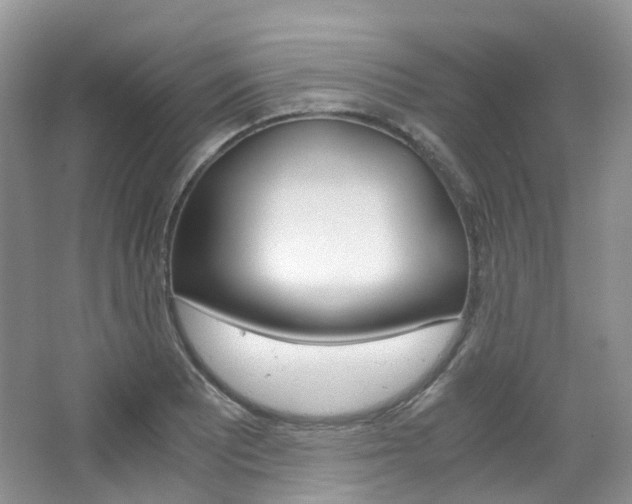 X0000065241081200602170948