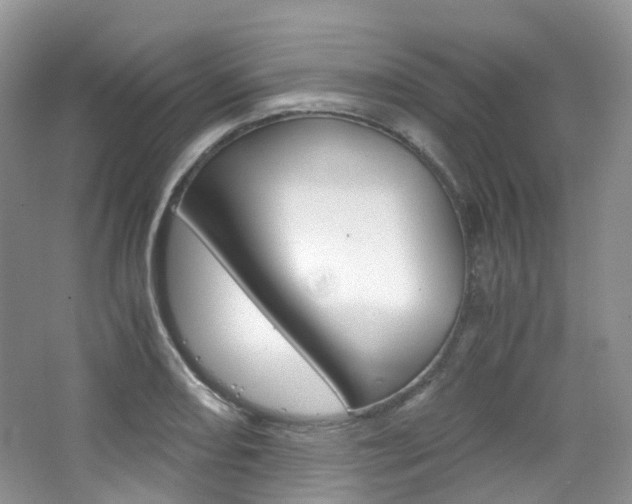 X0000065241082200602170948