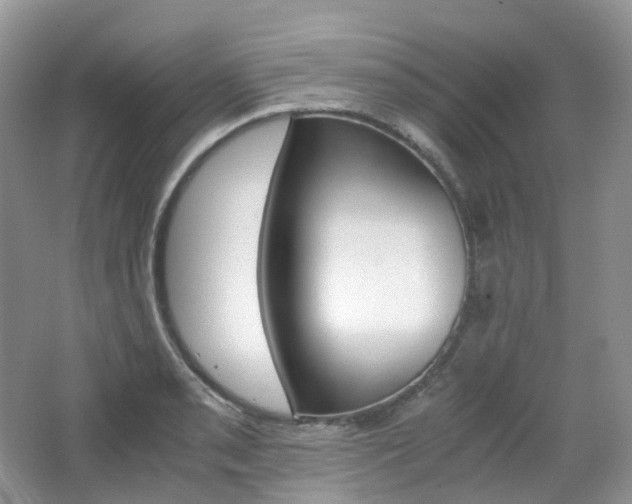 X0000065241085200602170948