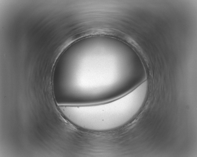 X0000065241089200602170948