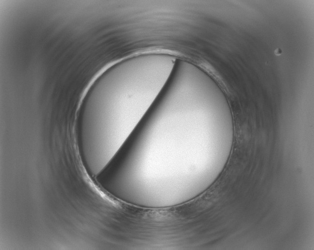 X0000065241092200602170948