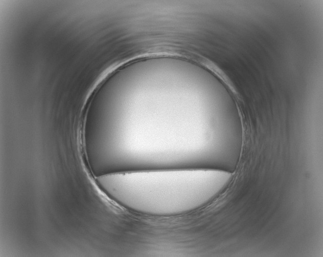 X0000065241101200602170948