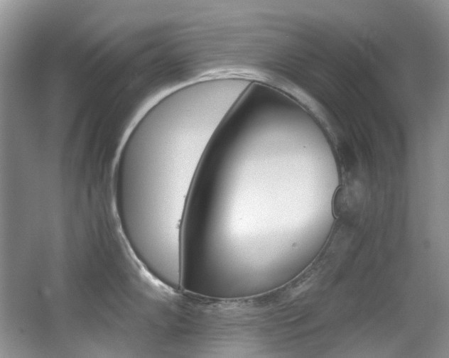X0000065241102200602170948