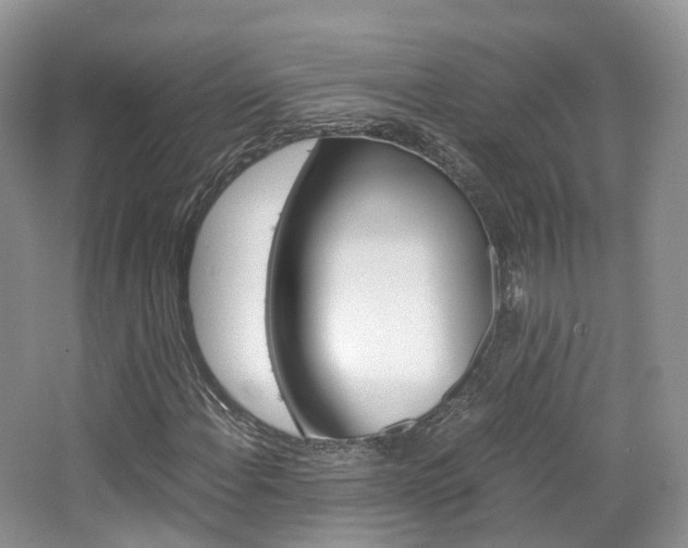 X0000065241108200602170947