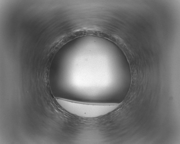 X0000065241110200602170947