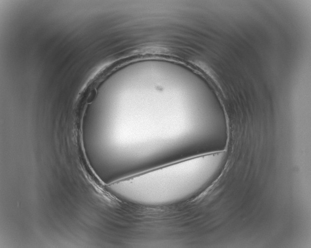 X0000065241115200602170947