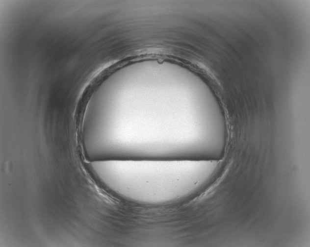 X0000065241117200602170947