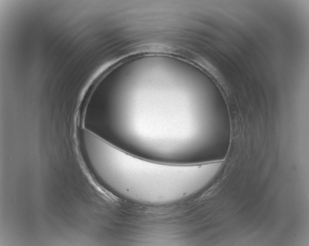 X0000065241128200602170947
