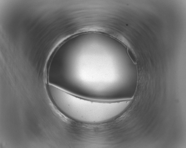 X0000065241132200602170947