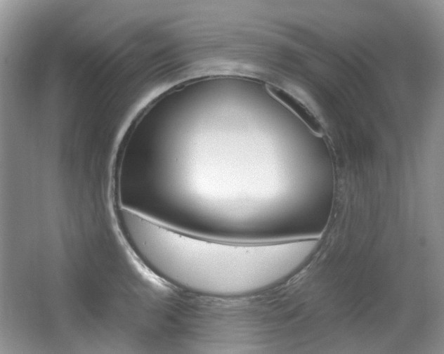 X0000065241136200602170947