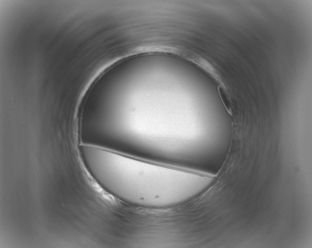 X0000065241140200602170947
