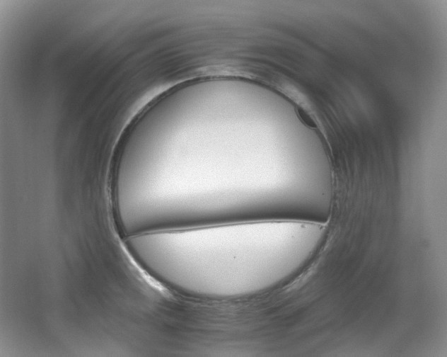 X0000065241141200602170947