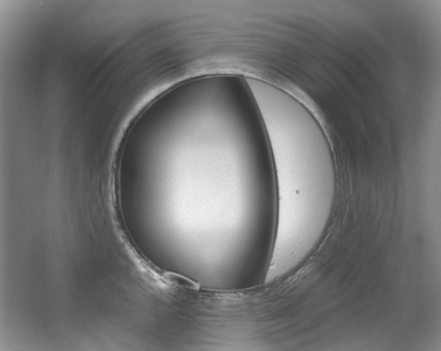 X0000065241144200602170947