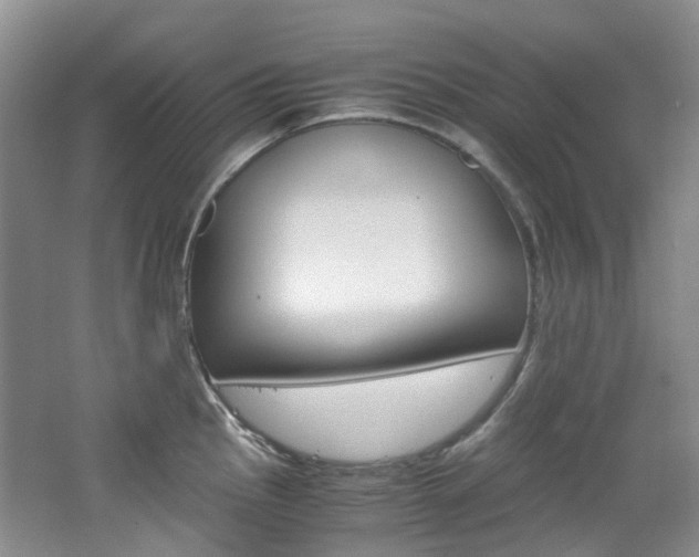 X0000065241145200602170948