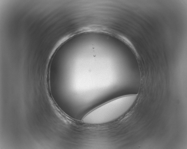X0000065241146200602170948