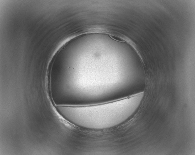X0000065241147200602170948