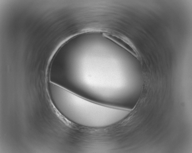 X0000065241148200602170948