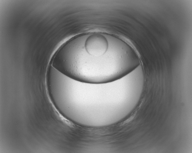 X0000065241149200602170948