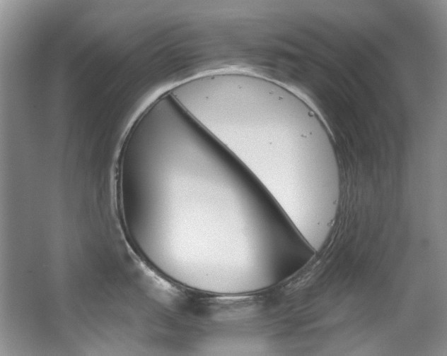 X0000065241151200602170948
