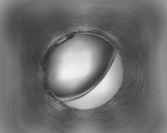 X0000065241160200602170947