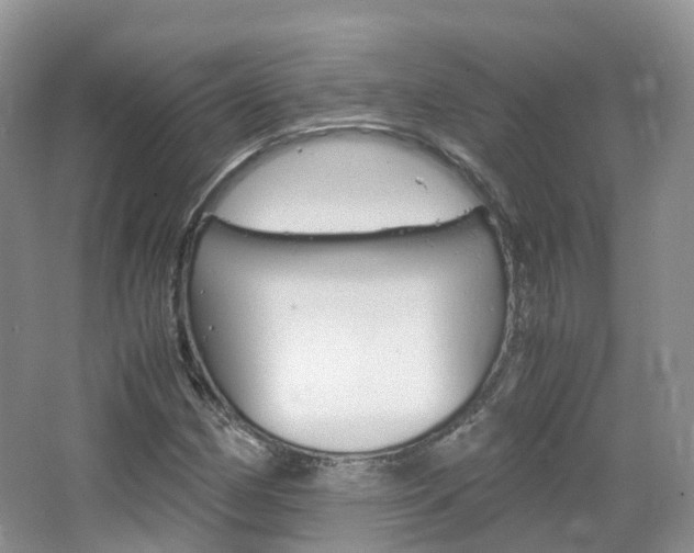 X0000065241162200602170947
