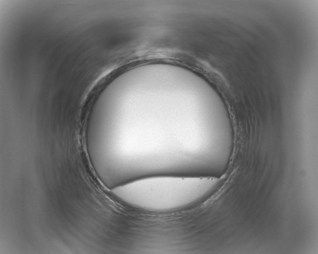 X0000065241166200602170947