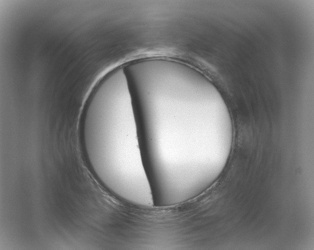 X0000065241174200602170946