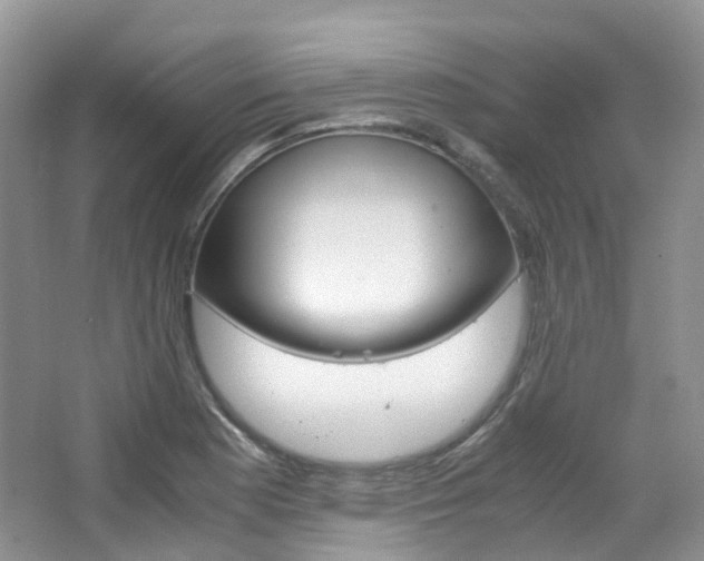 X0000065241177200602170946