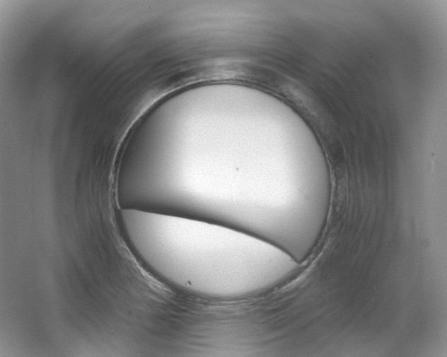 X0000065241178200602170946