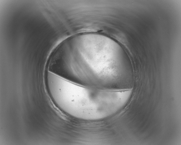 X0000065241179200602170946