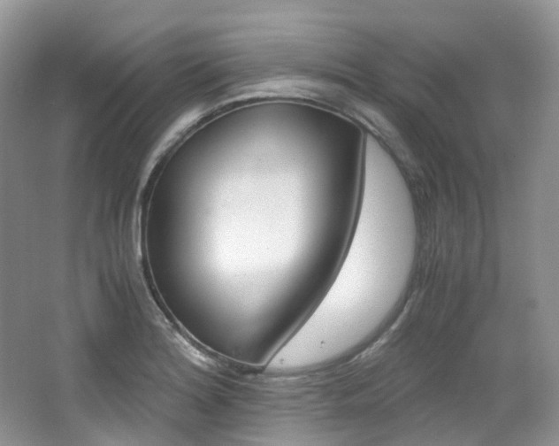 X0000065241180200602170946
