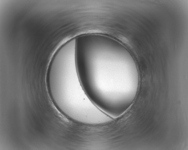 X0000065241181200602170946