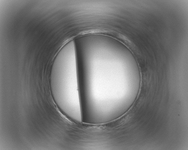 X0000065241185200602170946