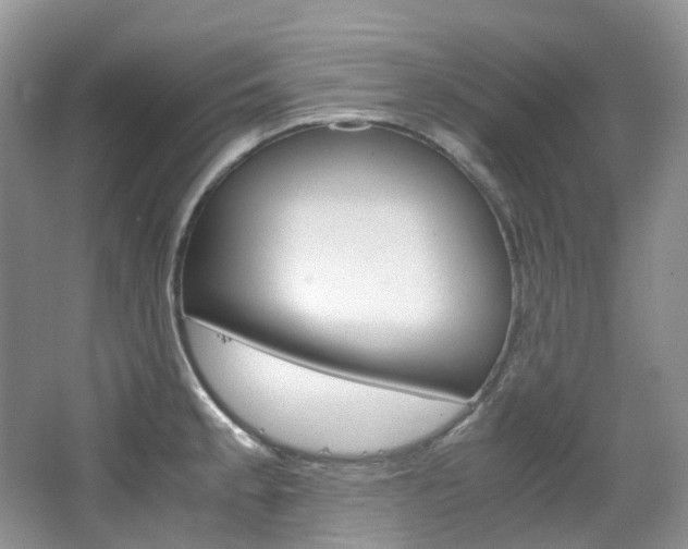 X0000065241189200602170946