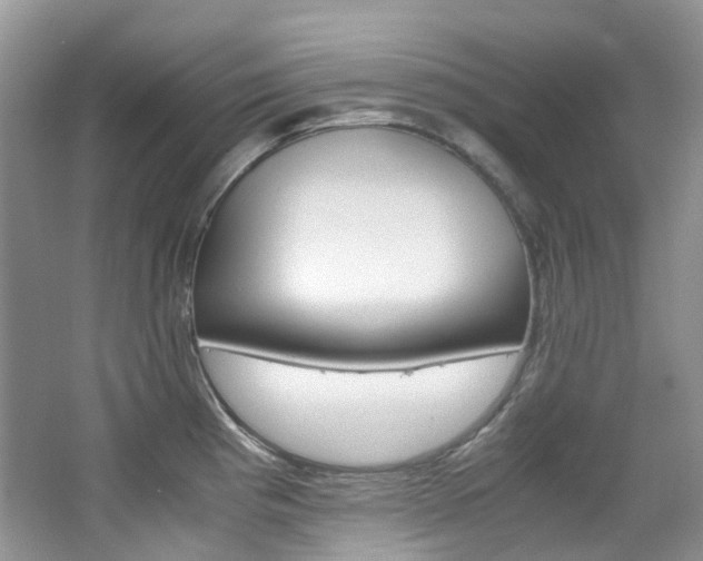 X0000065241193200602170946
