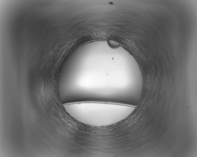 X0000065241201200602170945