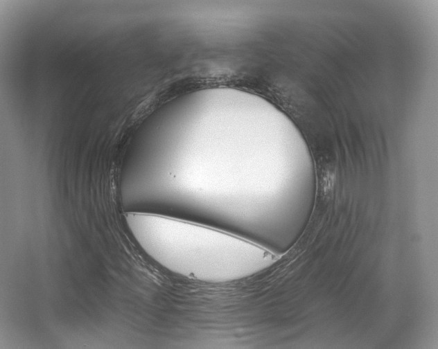 X0000065241204200602170945
