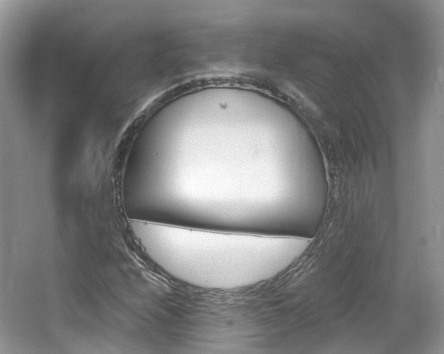 X0000065241208200602170945