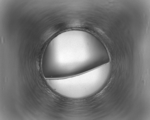 X0000065241209200602170945