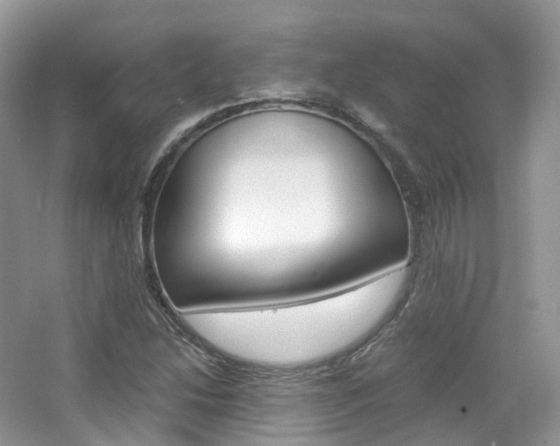 X0000065241214200602170945