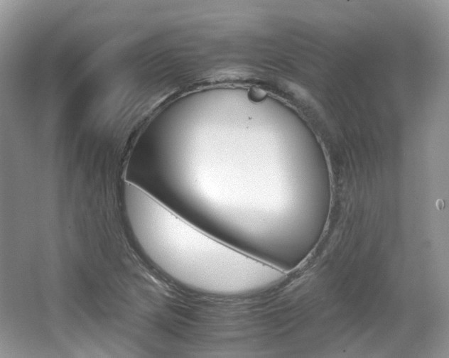 X0000065241217200602170945