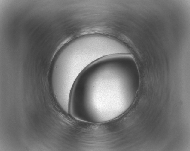X0000065241218200602170945