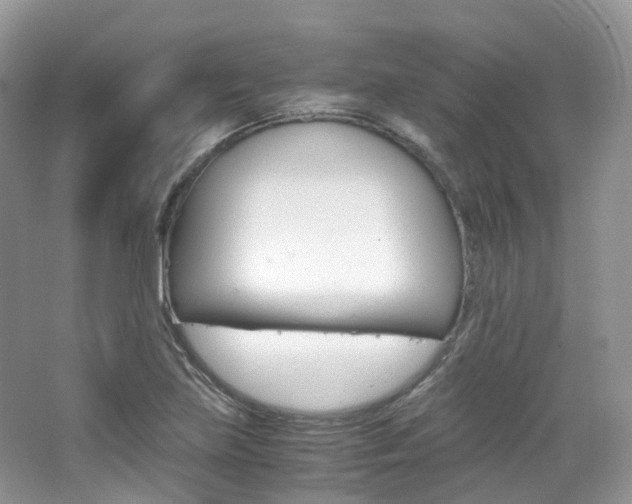 X0000065241219200602170945