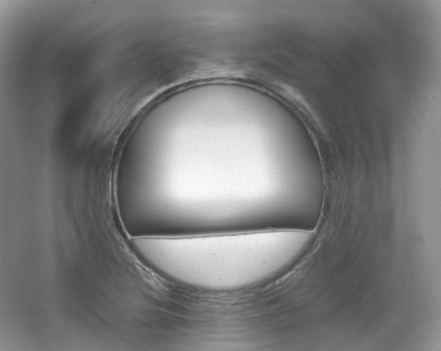 X0000065241220200602170945